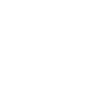 Icon Transporter